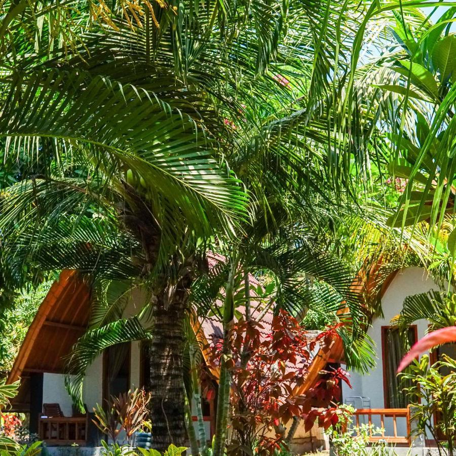 Florine'S Garden Hotel Gili Air Exterior foto